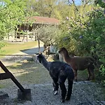 Nyaraló Le Domaine Du Chatelard