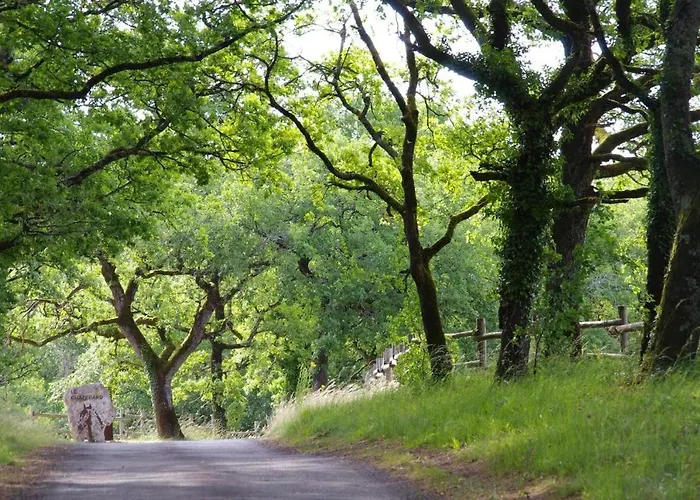 Hébergement de vacances Domaine De Charme Sur Privé Dirac