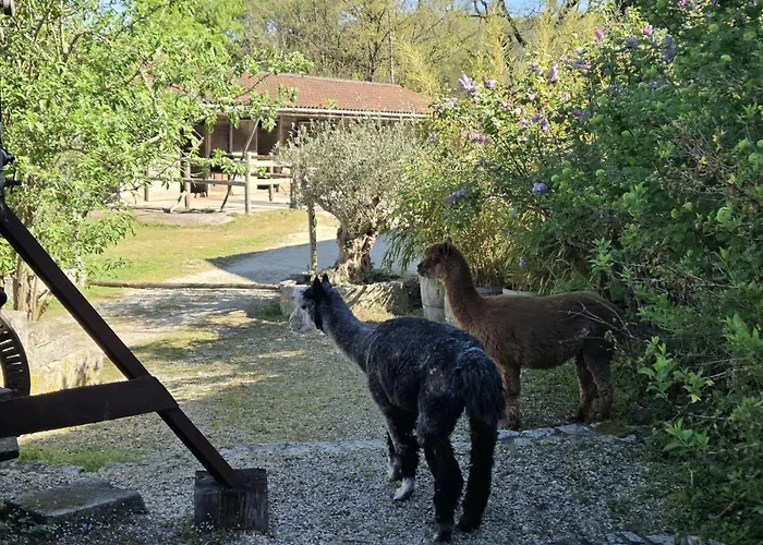 Hébergement de vacances Domaine De Charme Sur Privé