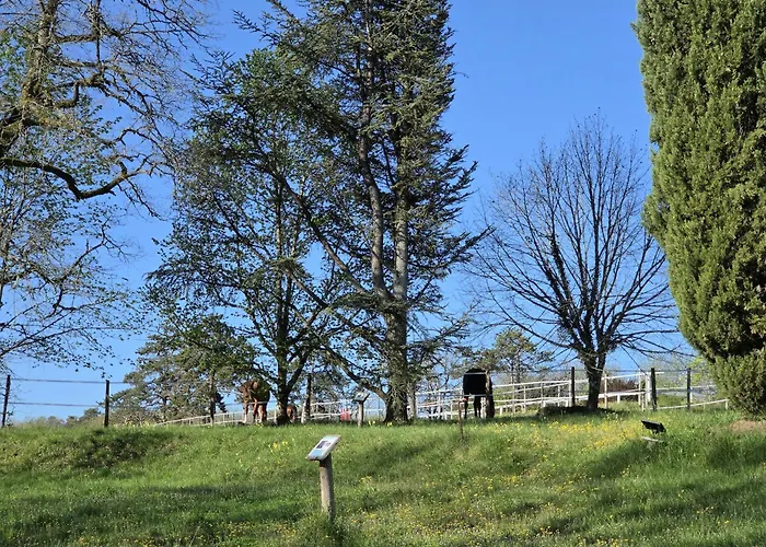 Hébergement de vacances Domaine De Charme Sur Privé Dirac